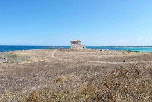 Etude des débarquements de la pêche artisanale de l’Aire Marine Protégée de Torre Guaceto (Italie)