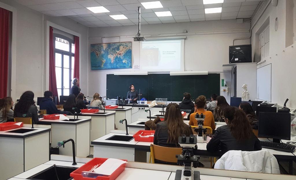 Travaux Pratiques « à la découverte des cnidaires » au lycée Masséna (Nice, France)