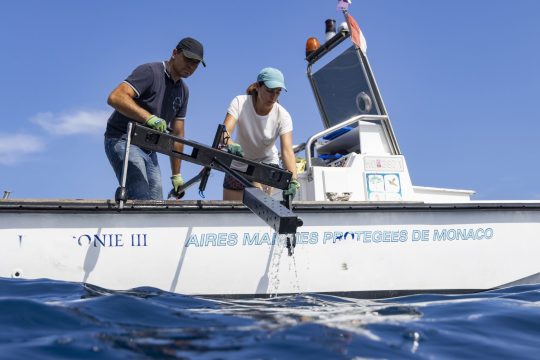 Study of fish assemblages using BRUV system