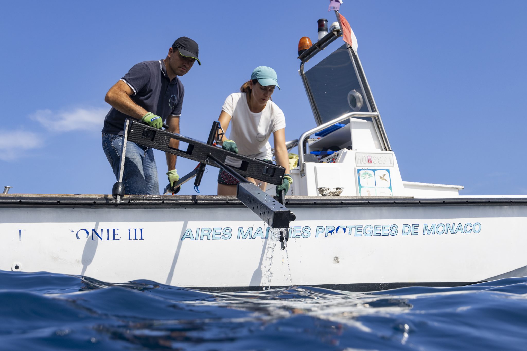 Etude des peuplements de poissons par BRUVS