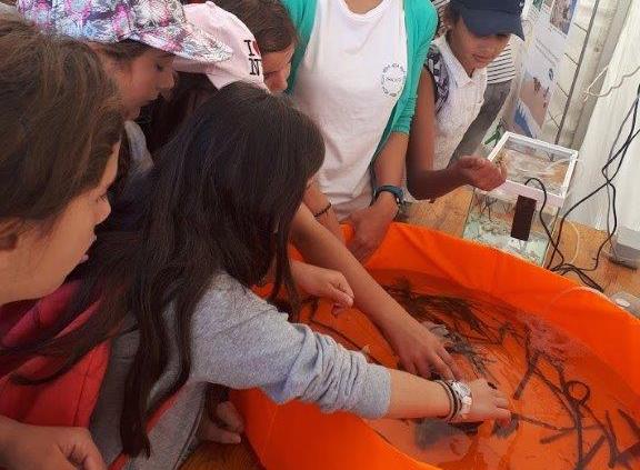 Festival des Sciences Nice Côte d’Azur 2019