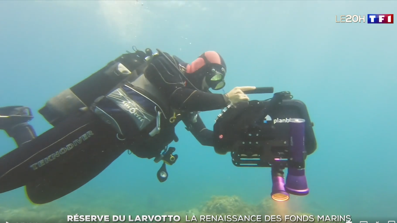 Une caméra révolutionnaire pour étudier les fonds marins