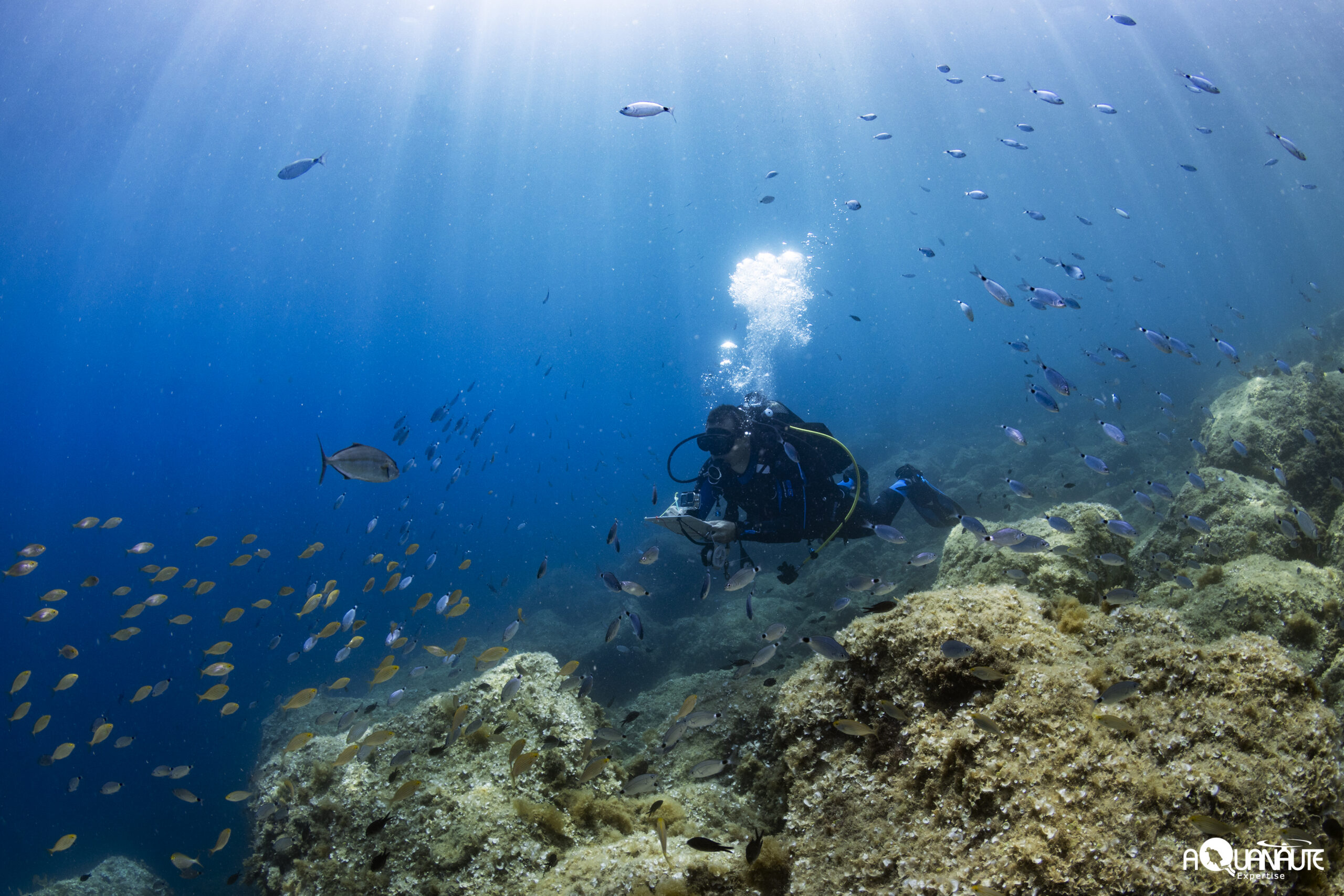 Aquanaute_E4A5652