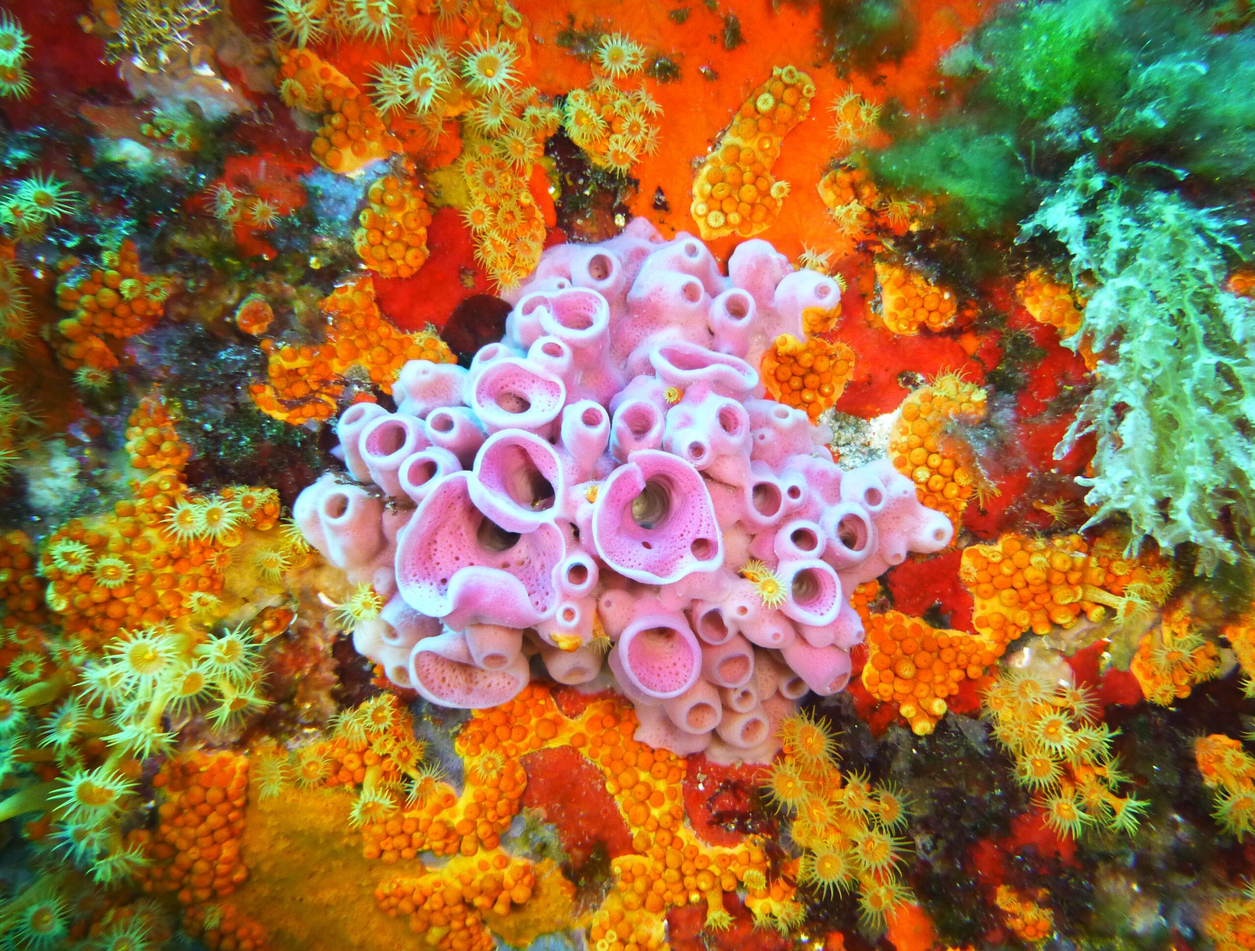 P1100002