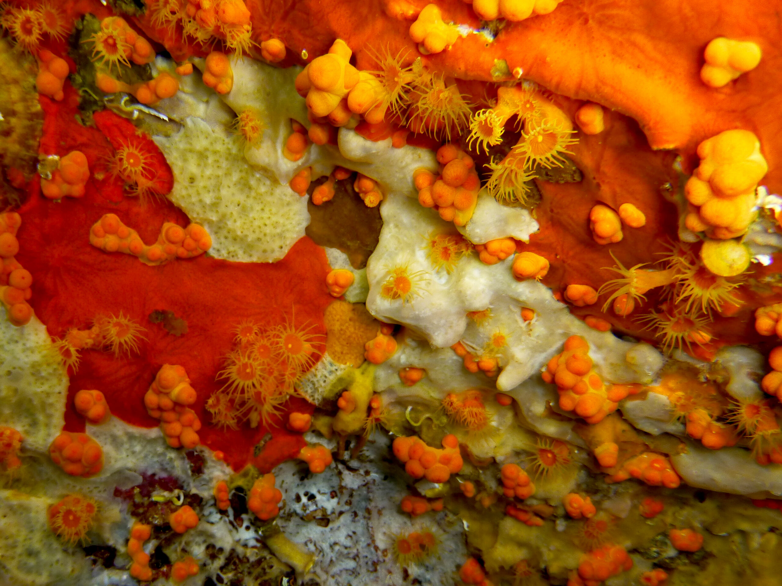 P1110593