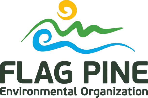 Flag-Pine-Logo